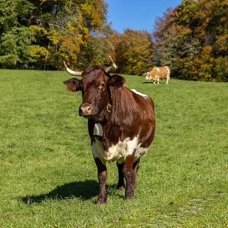 Farm stay Freidinglehen *