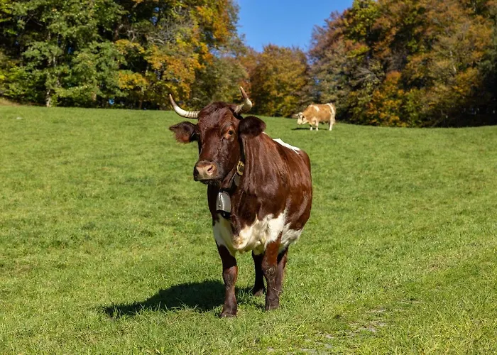 Vakantieboerderij Freidinglehen *